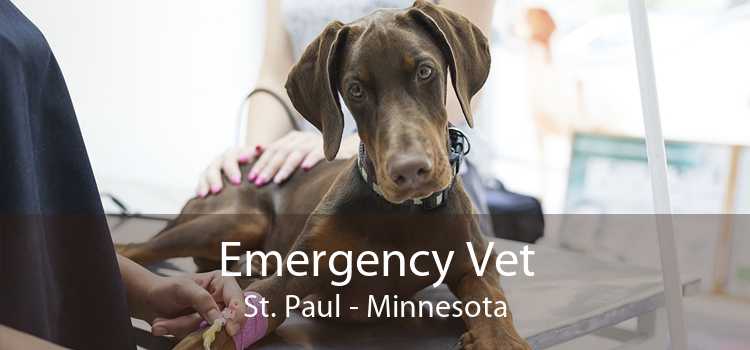 Emergency Vet St. Paul - Minnesota