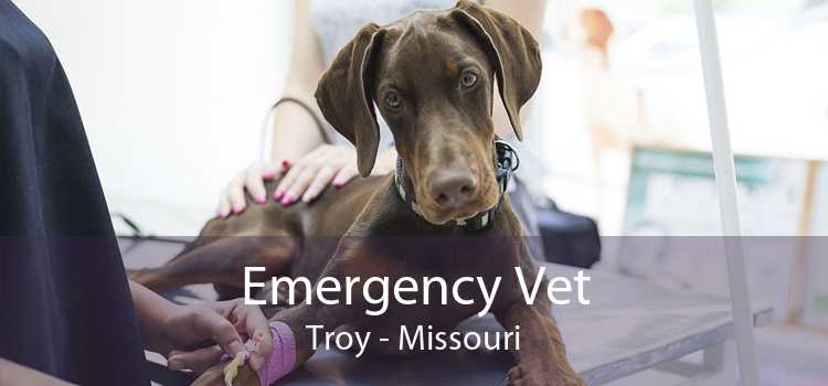 Emergency Vet Troy - Missouri