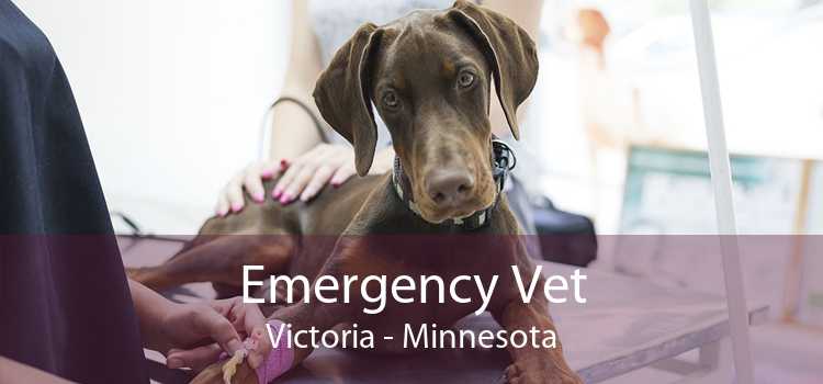 Emergency Vet Victoria - Minnesota