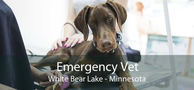 Emergency Vet White Bear Lake - Minnesota