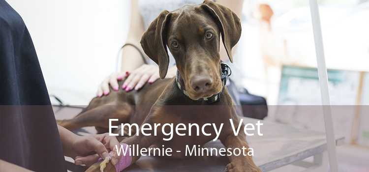 Emergency Vet Willernie - Minnesota