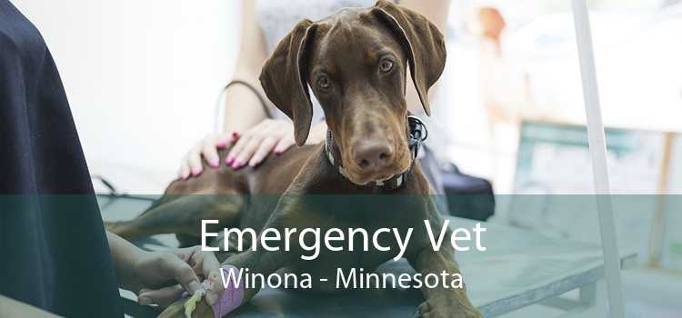 Emergency Vet Winona - Minnesota