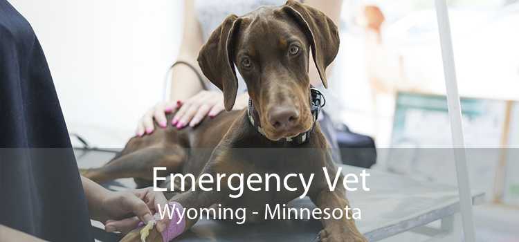 Emergency Vet Wyoming - Minnesota