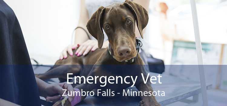 Emergency Vet Zumbro Falls - Minnesota