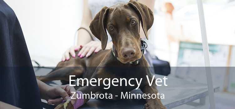 Emergency Vet Zumbrota - Minnesota