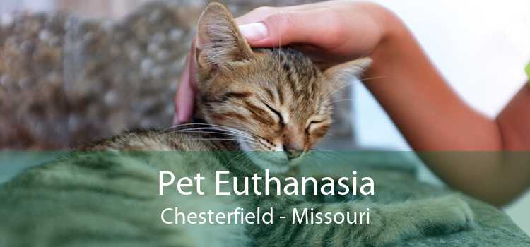 Pet Euthanasia Chesterfield - Missouri