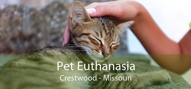 Pet Euthanasia Crestwood - Missouri