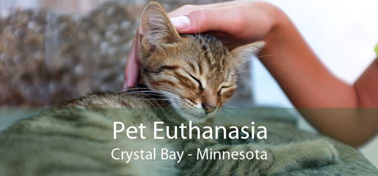 Pet Euthanasia Crystal Bay - Minnesota