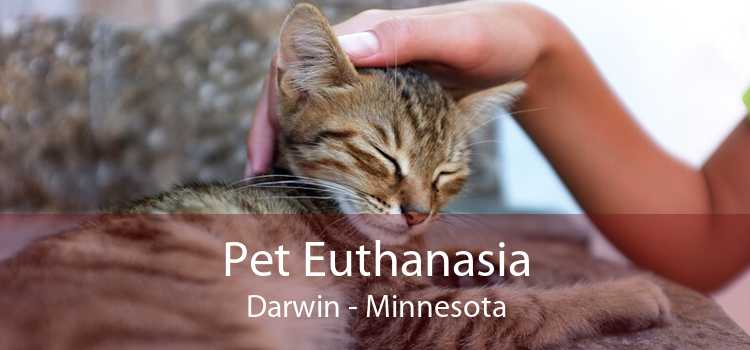 Pet Euthanasia Darwin - Minnesota