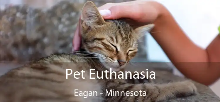 Pet Euthanasia Eagan - Minnesota
