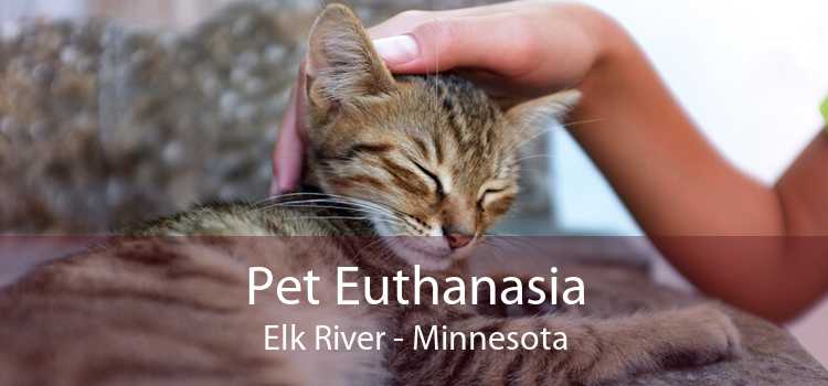 Pet Euthanasia Elk River - Minnesota