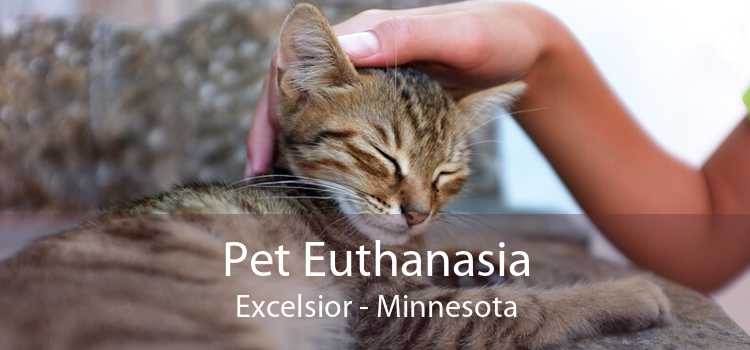 Pet Euthanasia Excelsior - Minnesota