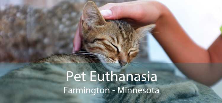 Pet Euthanasia Farmington - Minnesota