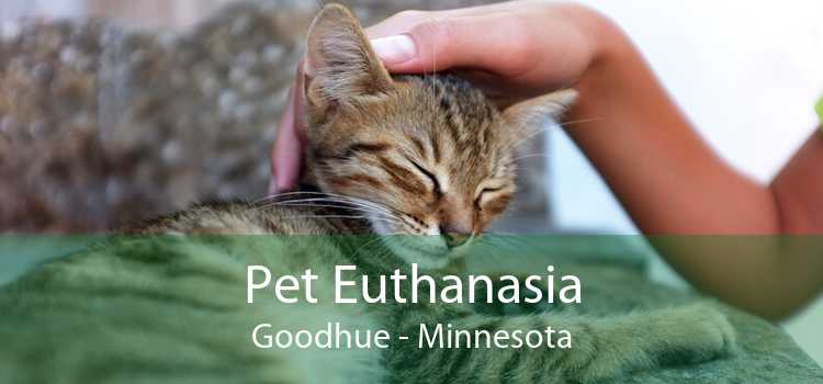 Pet Euthanasia Goodhue - Minnesota
