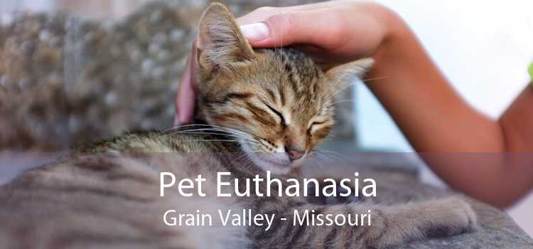 Pet Euthanasia Grain Valley - Missouri