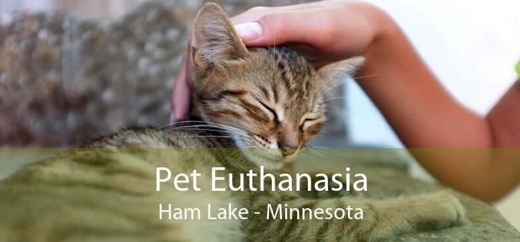 Pet Euthanasia Ham Lake - Minnesota