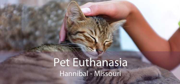 Pet Euthanasia Hannibal - Missouri