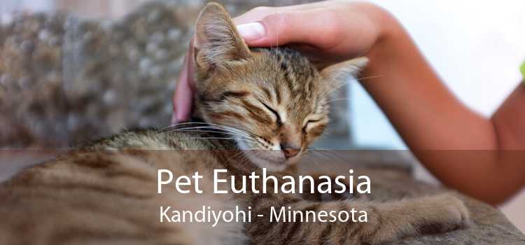 Pet Euthanasia Kandiyohi - Minnesota