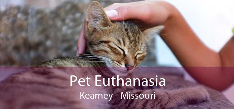 Pet Euthanasia Kearney - Missouri
