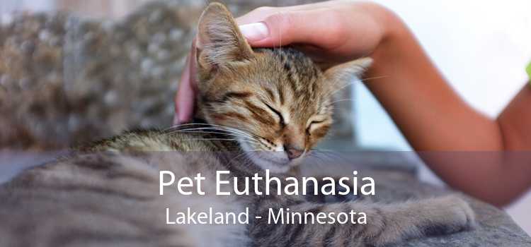 Pet Euthanasia Lakeland - Minnesota