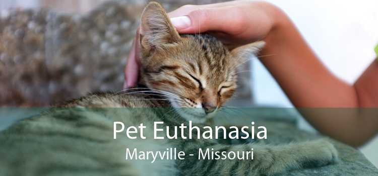 Pet Euthanasia Maryville - Missouri
