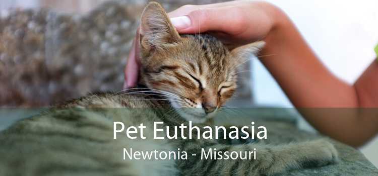 Pet Euthanasia Newtonia - Missouri