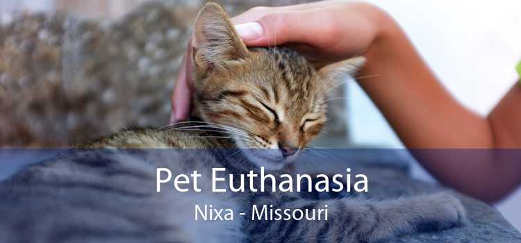 Pet Euthanasia Nixa - Missouri