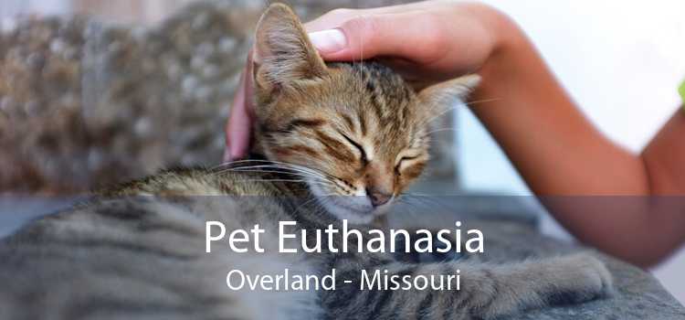 Pet Euthanasia Overland - Missouri