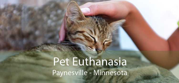Pet Euthanasia Paynesville - Minnesota