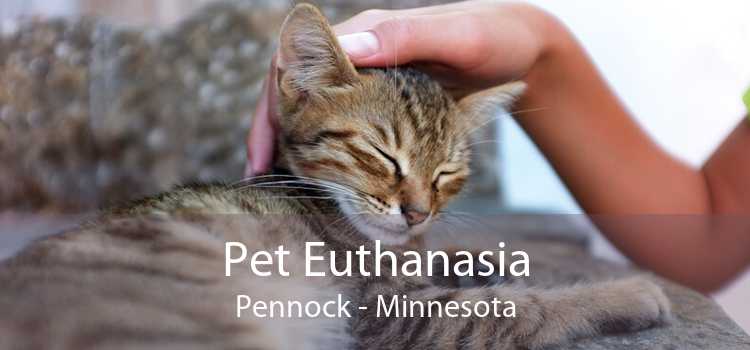 Pet Euthanasia Pennock - Minnesota
