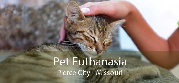 Pet Euthanasia Pierce City - Missouri