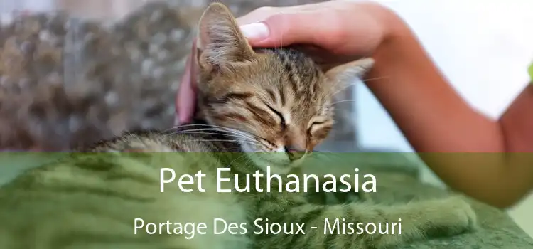 Pet Euthanasia Portage Des Sioux - Missouri