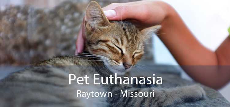 Pet Euthanasia Raytown - Missouri