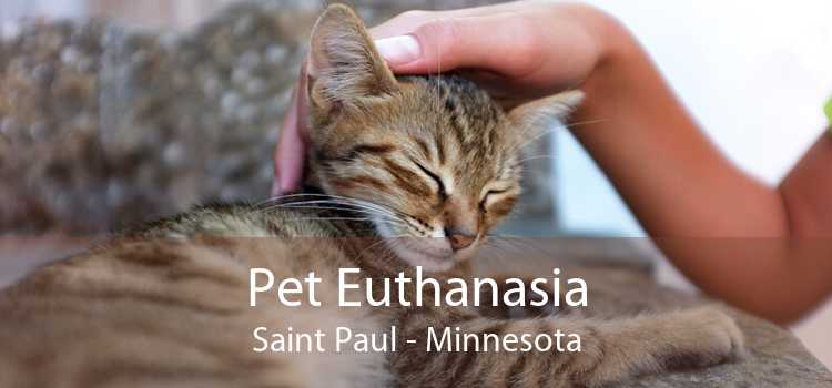Pet Euthanasia Saint Paul - Minnesota