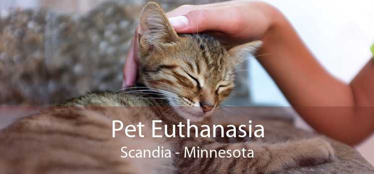 Pet Euthanasia Scandia - Minnesota