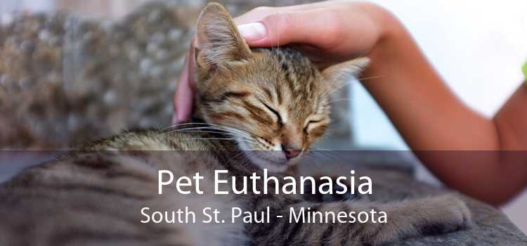 Pet Euthanasia South St. Paul - Minnesota
