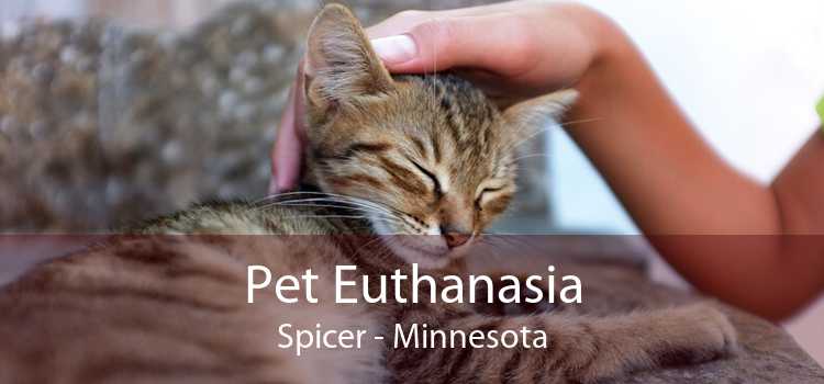 Pet Euthanasia Spicer - Minnesota