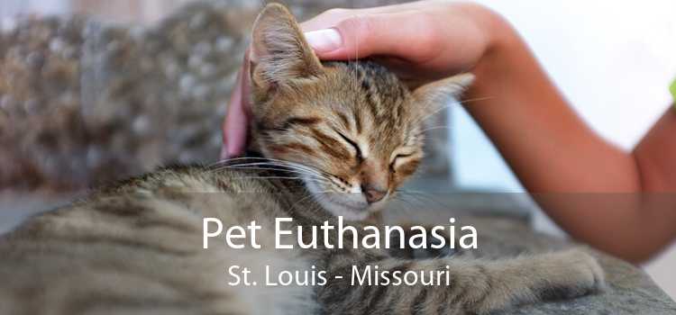 Pet Euthanasia St. Louis - Missouri