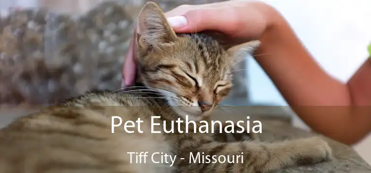 Pet Euthanasia Tiff City - Missouri