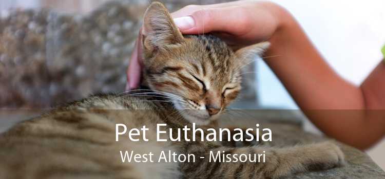 Pet Euthanasia West Alton - Missouri