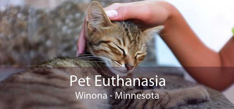 Pet Euthanasia Winona - Minnesota