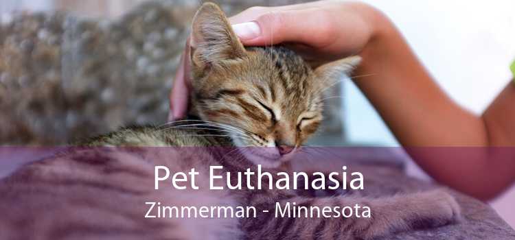 Pet Euthanasia Zimmerman - Minnesota