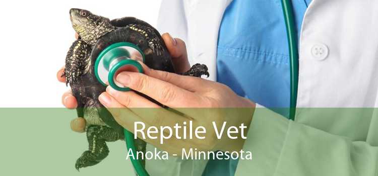 Reptile Vet Anoka - Minnesota