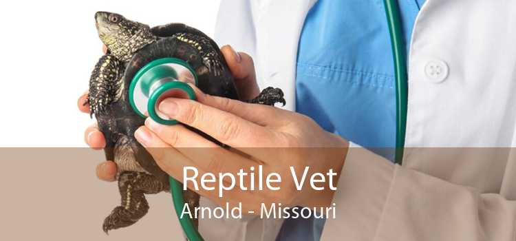 Reptile Vet Arnold - Missouri