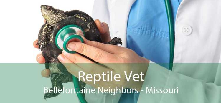 Reptile Vet Bellefontaine Neighbors - Missouri