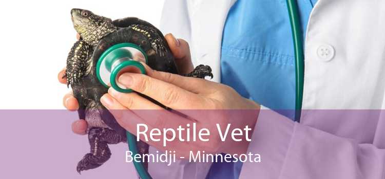 Reptile Vet Bemidji - Minnesota