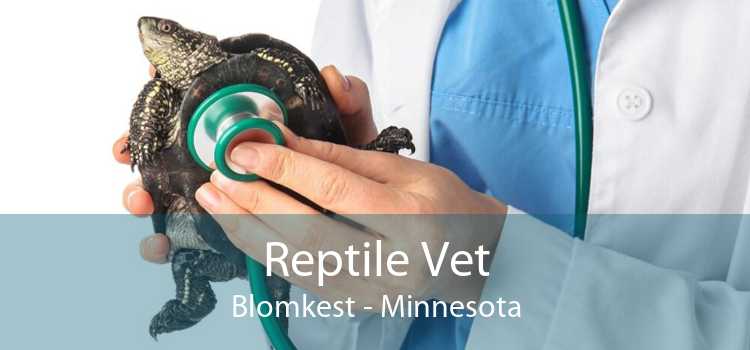 Reptile Vet Blomkest - Minnesota