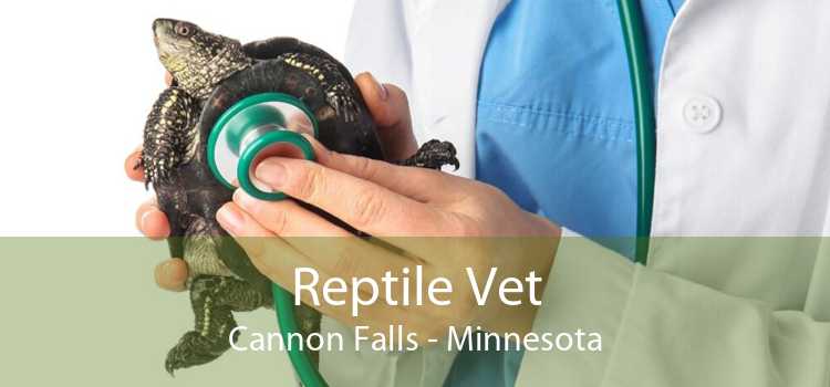 Reptile Vet Cannon Falls - Minnesota