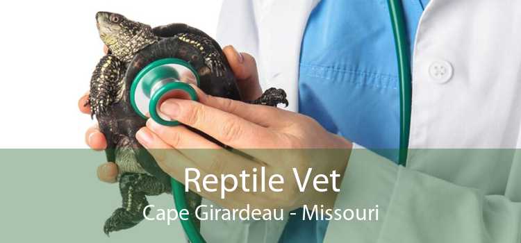 Reptile Vet Cape Girardeau - Missouri