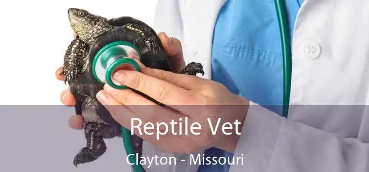 Reptile Vet Clayton - Missouri